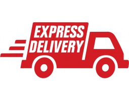 Express  Services